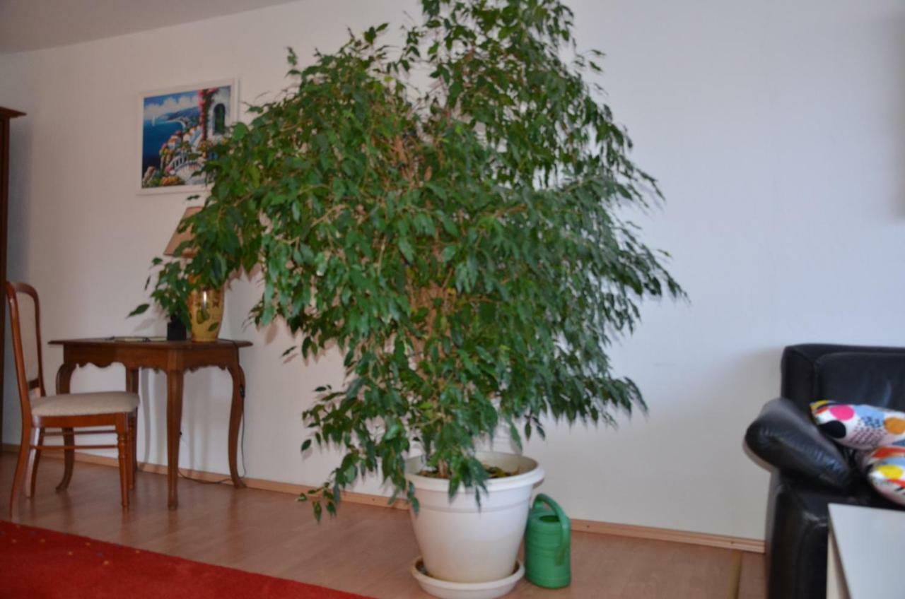 Ferienwohnung Pascale Mettlach Kültér fotó